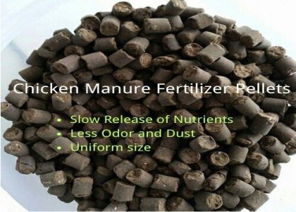 Make money from chicken manure