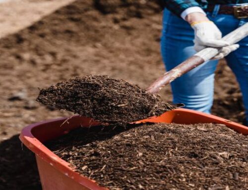 Large Scale Compost Machines Help You Make Commercial Compost